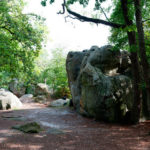 Senderos-Bosque-Fontainebleau